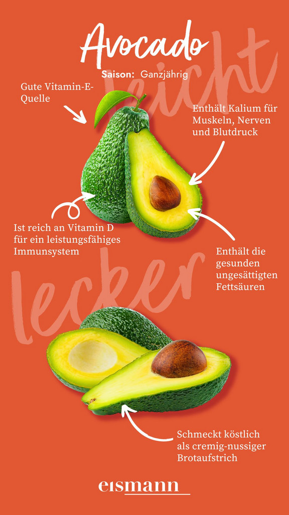 Avocado Infografik Avocado Infografik