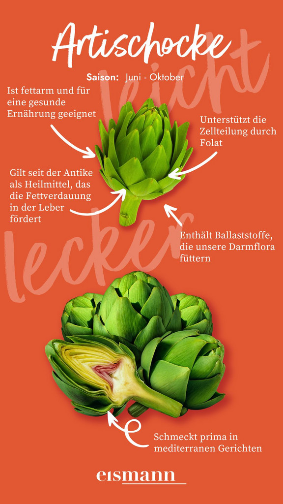 Artischocke Artischocke