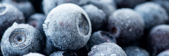 Heidelbeeren Heidelbeeren