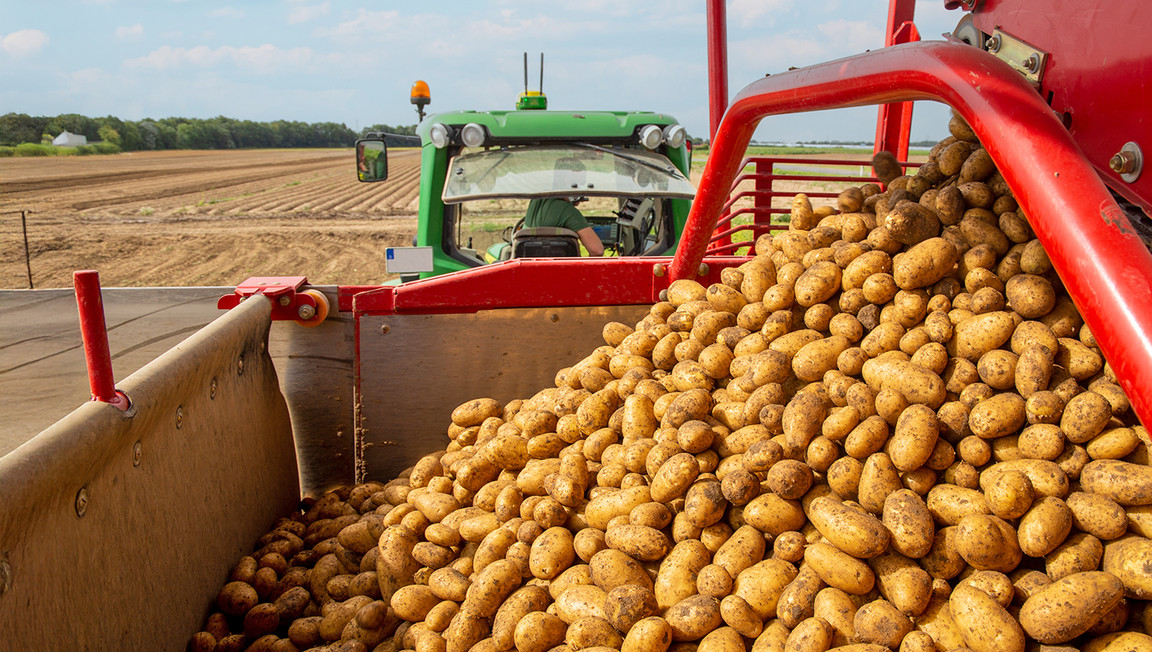 Produktinfos und Herkunft Produktinfos und Herkunft