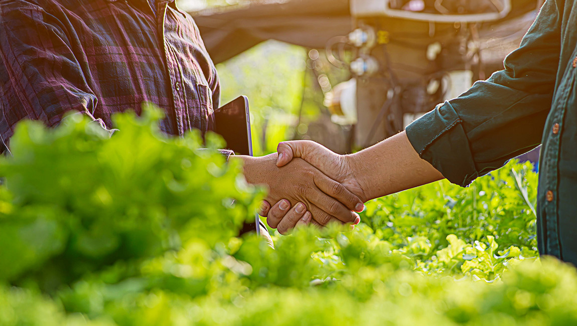 Partner von eismann Partner von eismann