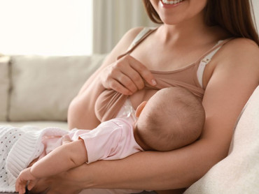 Milchbildung Milchbildung