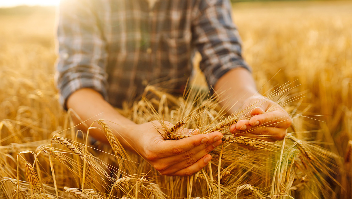 Qualität und Nachhaltigkeit bei eismann Qualität und Nachhaltigkeit bei eismann
