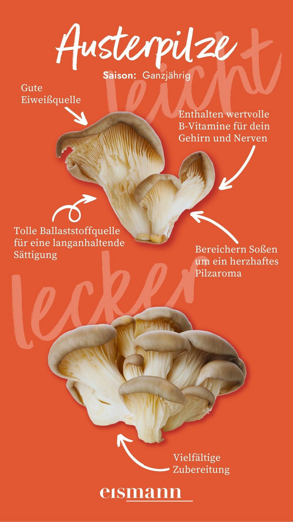 Austernpilze - Eigenschaften, Saison und Vorteile in der Ernährung